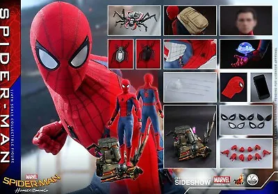 Buy Hottoys Spiderman Homecoming 1:4 Normal Version • 570£