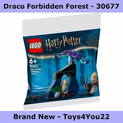 Buy Lego 30677 Harry Potter Draco In The Forbidden Forest Polybag - Brand New • 7.67£