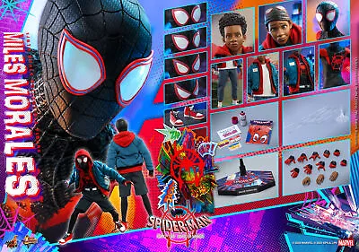 Buy Clearance Sale! Dpd Express Hot Toys 1/6 Spider-man Mms567 Miles Morales Figure • 296.99£