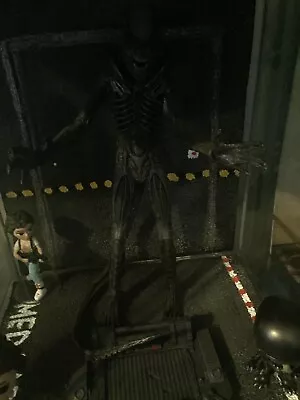 Buy Hot Toys Alien Big Chap 1/6 Scale Collectible Figure • 575£