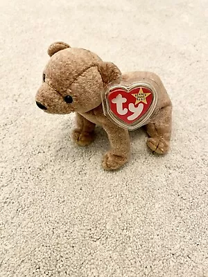 Buy Ty Beanie Babies - Pecan Bear - With Tag Protector - Vintage! • 4.99£