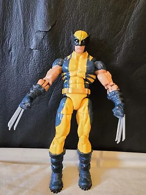 Buy Marvel Legends: Hasbro Wolverine (Astonishing X-Men) Jubilee Wave • 10£
