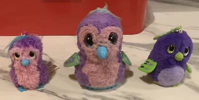 Buy Hatchimals Spin Master Interactive Toy • 12£