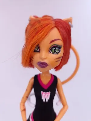 Buy Monster High Toralei Fearreading Cat Doll With Clothing And Shoes • 25.38£