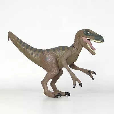 Buy Jurassic World Velociraptor Raptor Delta Dinosaur Toy Figure Hasbro 2015 • 9.95£