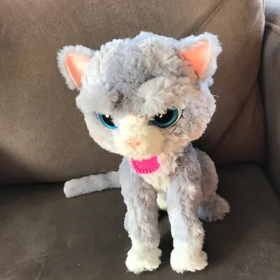Buy FURREAL FRIENDS CAT, Interactive Toy • 15£