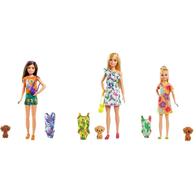 Buy Barbie & Chelsea The Lost Birthday Dolls Accessories 9 Inch Kids Children Mattel • 12.99£