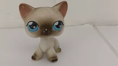 Buy Authentic Littlest Pet Shop Hasbro LPS Siamese Cat Blue Eyes #5 • 11.99£