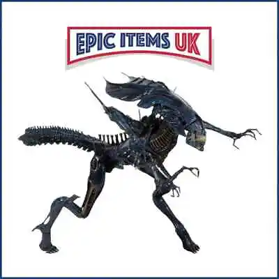 Buy Aliens Xenomorph Alien Queen Deluxe Action Figure 15  Tall - 30  Long - NECA • 164.99£