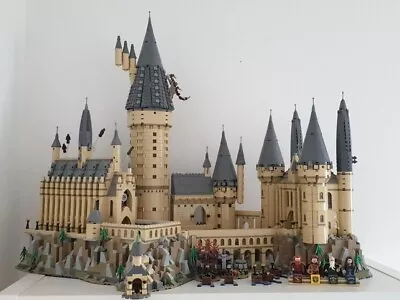 Buy LEGO Harry Potter: Hogwarts Castle (71043) - With Instructions • 239.99£