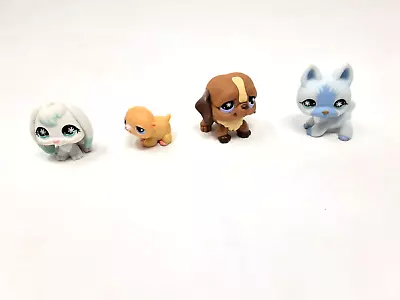 Buy 4 Hasbro Littlest Pet Shop Figures - Hamster, Dog Rabbit, Cat With Magnetic Foot • 12£