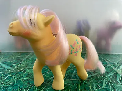 Buy My Little Pony G1 Kiss Curl UK/EU Excl Vintage Hasbro 1984 Collectibles VGC * • 16.99£