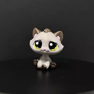 Buy LPS Hasbro Littlest Pet Shop Figure #2215 Tabby Cat Kitty Kitten Green Eyes  • 6.99£