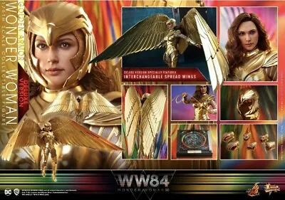 Buy Hot Toys Golden Armor Wonder Woman Deluxe - Brand New • 285£