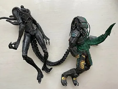Buy Neca Custom Alien Vs Predator Display Set Alien Tail Strike Through Predator • 59.99£