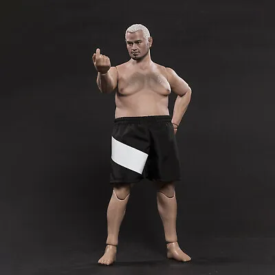 Buy Worldbox 1/6 Fat Male Body Hairy Plump Body Figure Model Fit Phicen HotToys Head • 58.32£