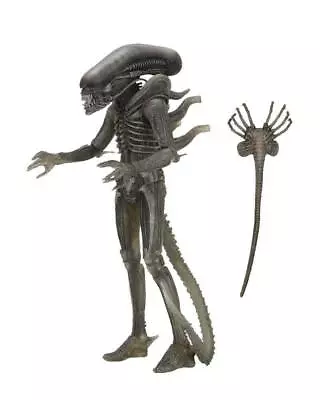 Buy 1979 ALIEN - 40th Anniversary Series 4 - The Alien Giger Action Figure Neca • 47.51£