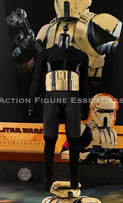 Buy Hot Toys Shoretrooper Body Set Plus Armour TMS031  1/6 Figure Part Star Wars  • 79.99£