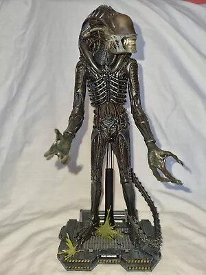 Buy Hot Toys Aliens Warrior 1/6 Figure • 200£