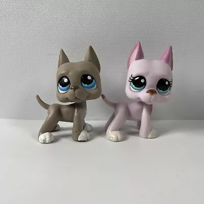 Buy Littlest Pet Shop #184 & #1022 Dog Toys | Grey Pink Great Dane | Official Hasbro • 29.99£