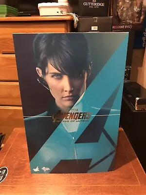 Buy Maria Hill Avengers Age Of Ultron Marvel Hot Toys 1:6 Figure • 250£