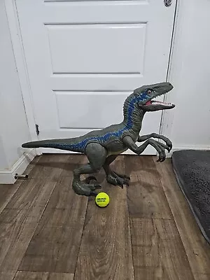 Buy Jurassic World Dinosaur Super Colossal Velociraptor Blue Figure Mattel 2018 Huge • 36£