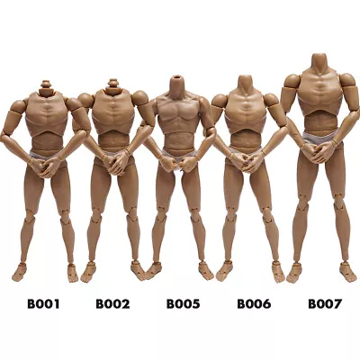 Buy 1/6 Scale Muscular Male Action Figure Body For 12  Hot Toy Phicen TBLeague Head • 17.43£