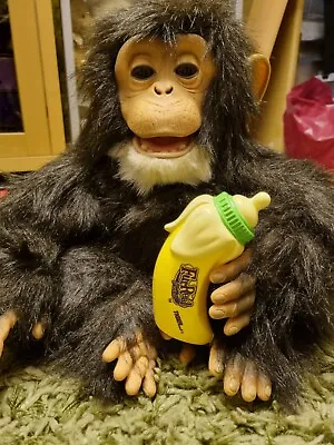 Buy FurReal Friends Cuddle Chimp Interactive HASBRO 2007 IMMACULATE. CHRISTMAS GIFT • 39.99£
