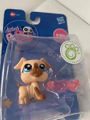 Buy Littlest Pet Shop Figures, Single: Dog Boxer #1516, Hasbro, Collectors,NEW • 18.99£