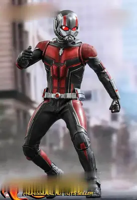 Buy Hot Toys 1/6 MMS497 – Ant-Man And The Wasp – Ant-Man IN STOCK • 230.98£