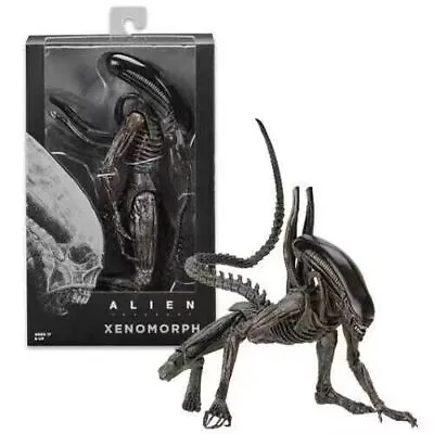Buy NECA Alien Covenant Xenomorph 7  Action Figure 1:12 Aliens Collection Gift 2017 • 35.99£