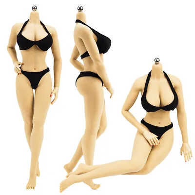 Buy 1/6 Large Bust Seamless Female Body 12  Figure Doll Toy Fit Phicen Hot Toys Head • 6.69£