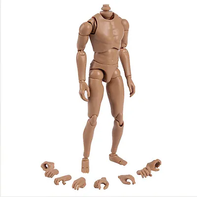 Buy 1/6 Scale Male Body Model B001 Narrow Shoulder Figure Fit Hot Toys TTM18 TTM19 • 17.43£
