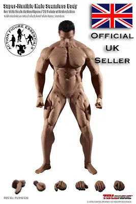 Buy 1/6 Phicen TBLeague M35 Male Action Figure Body Only + XL Genitals (UK Stock) • 92.50£