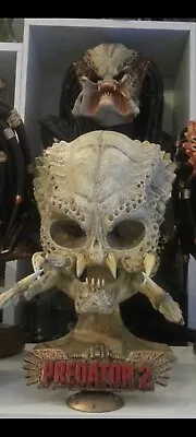 Buy Sideshow Classic Predator Skull Life Size 1:1  Display Prop Bust • 1,000£