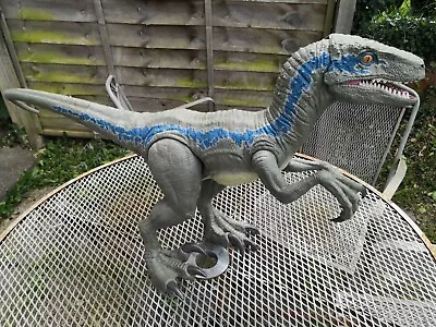Buy Mattel Jurassic World Super Colossal Velociraptor Blue Large Dinosaur Figure • 22.50£