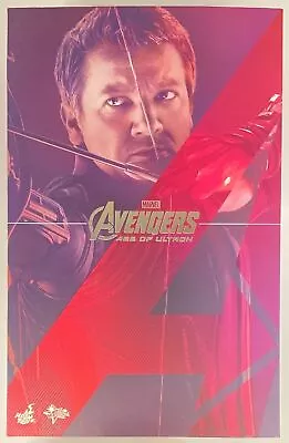 Buy Hot Toys MMS289 Hawkeye Jeremy Renner Avengers Age Of Ultron 1/6 Figure • 144.85£