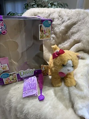 Buy FurReal Friends Daisy Plays Interactive Ginger Cat Kitten Toy With Box Etc • 25£