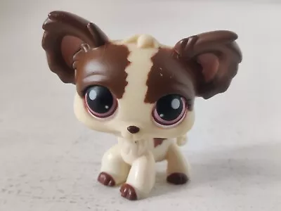 Buy Hasbro LPS Littlest Pet Shop Cream Brown Chihuahua #385 Authentic Free Shipping  • 10.01£