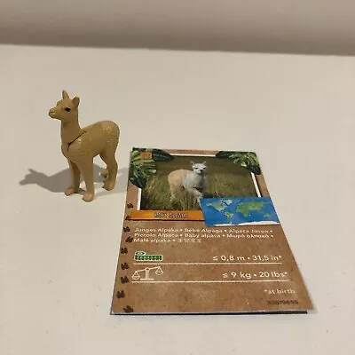 Buy Unused Playmobil Zoo, Wildlife & Safari Animals: Rare Baby Alpaca - Sand Colour • 5£
