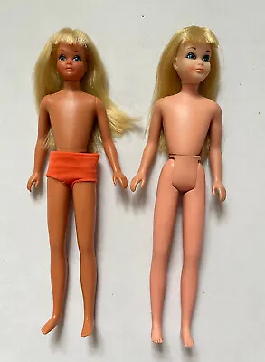 Buy Barbie Funtime Malibu Skipper • 30.88£