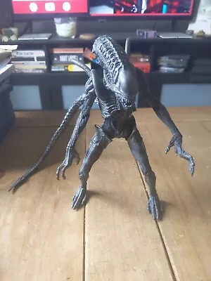 Buy Neca Alien Vs Predator Requiem Warrior Alien 8 Inch Figure • 49.99£