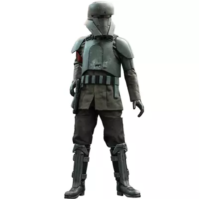 Buy Hot Toys Star Wars Deluxe Collectible Transport Trooper • 240£