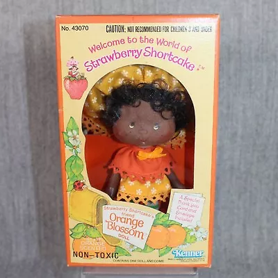 Buy STRAWBERRY SHORTCAKE KENNER Orange Blossom Doll Vintage 1980 Boxed Sealed • 143.84£