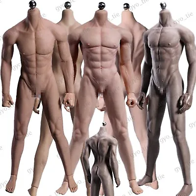 Buy JIAOU DOLL 1/6 Muscular Seamless Male Body 12  Figure For Hot Toys Phicen Head • 7.41£