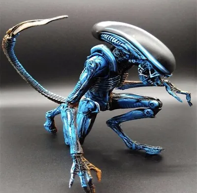 Buy Aliens Blue Xenomorph Action Figure Toy Collectible  Queen  (slight Dented Box) • 29.99£
