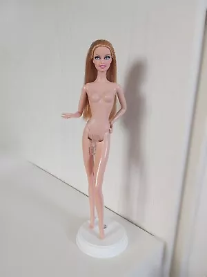 Buy 2011 Barbie Model Muse Happy Birthday Ken V0438 Doll RARE Signature Collector  • 35.85£