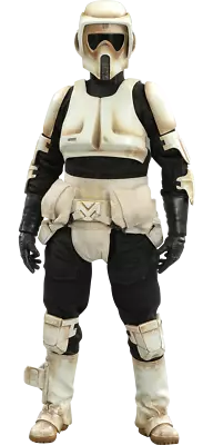 Buy Star Wars The Mandalorian Scouttrooper Stormtrooper 1/6 Hot Toys Sideshow TMS016 • 297.19£