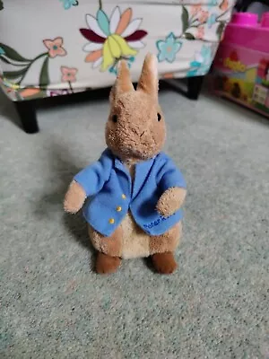 Buy TY BEANIE BABY - THE TALE OF PETER RABBIT - 2006 RARE ~ RETIRED No Tag • 4.99£