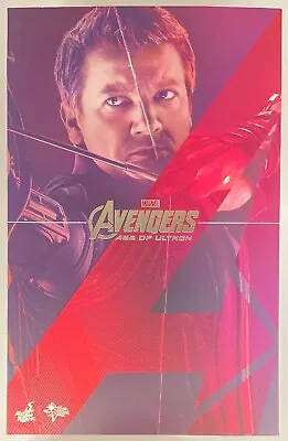 Buy Hot Toys MMS289 Hawkeye Jeremy Renner Avengers Age Of Ultron 1/6 Figure • 138.15£